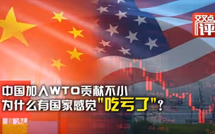 中国加入WTO二十年 让某些国家感到“很吃亏”？