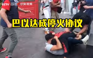 巴以达成停火协议 双方支持者却在美国“开战”了