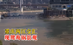 重庆两江交汇再现鸳鸯锅景观：江水一清一浊，十分特别