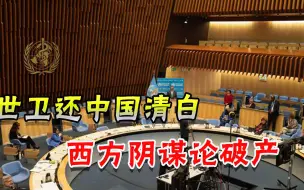 强势打脸西方抹黑！世卫溯源报告为中国正名，西方人却还在纠结