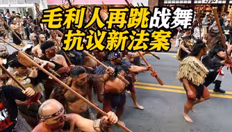 从议会跳到大街！超5.5万毛利人再跳战舞抗议新西兰新法案