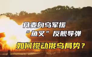 丹麦向乌军援“鱼叉”反舰导弹 如何搅动俄乌局势？