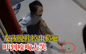 女孩脱鞋掉出蟑螂吓到嚎啕大哭，爸爸：蟑螂都被压扁了