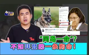王炳忠：“同岛一命”？不如拜登的一条狗命！