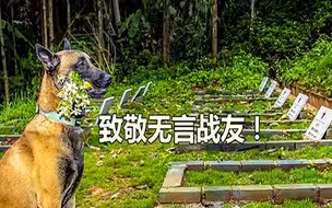 并肩作战、奋勇向前 致敬无言战友！