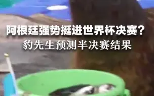阿根廷强势挺进世界杯决赛？豹先生预测半决赛结果