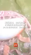 脚踩挤粪，血水染色！火锅配菜竟是这样生产。涉事企业致电记者：没必要报道