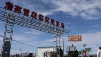 脱贫攻坚｜榆中县詹家营村：多点“开花” 拓宽致富路