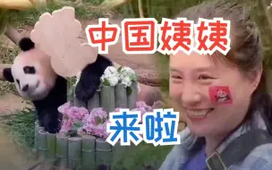 中国姨姨特意飞去韩国给福宝庆生：希望它一直快乐，未来找到如意郎君