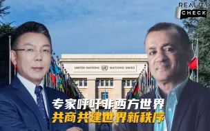求实论事｜专家呼吁非西方世界共商共建世界新秩序