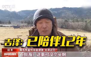 12年了！日本福岛牧场主在污染区陪伴“辐射牛”