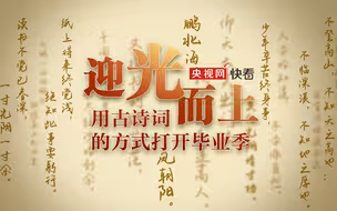 迎光而上，用古诗词的方式打开毕业季