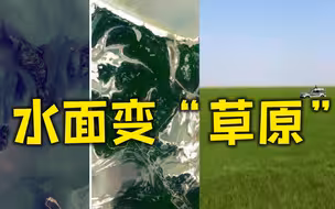 鄱阳湖1月间“缩水”近7成 河床变“草原”当地人开车飞驰