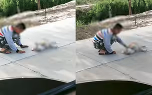 心爱的狗狗被过路车辆碾压身亡 男孩蹲在路旁这一举动让人心疼