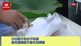 中国科学院公众科学日：去“魔法世界”见证奇迹！