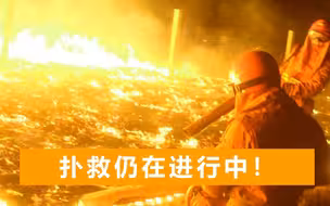 蒙古国大火蔓延至中国境内，风力较大火情难控，边境进入“战备”