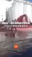 阿根廷一酒庄储酒罐出现故障 15000升葡萄酒喷涌而出 地面被染成紫红色