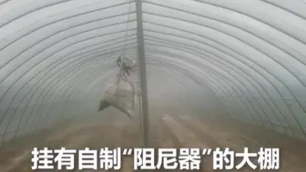 这就是劳动人民的智慧！男子就地取材自制“阻尼器”，成功防住大风、保住大棚。cr神农小馆
