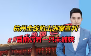 因私欲“瞒豹”！杭州金钱豹出逃案宣判，目前仍有一只未捕获