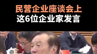 民营企业座谈会上，这6位企业家发言