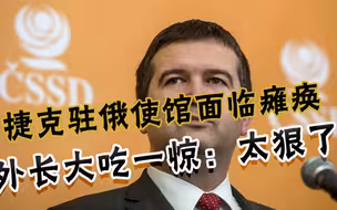 20名外交官被驱逐，驻俄使馆瘫痪，捷克外长：没想到普京这么狠
