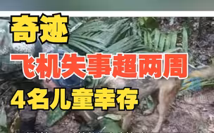 飞机失事超两周后4名儿童幸存 最大的13岁 最小仅11个月