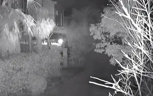 上海一男子酒后持板砖盗走别墅古董 警方3小时擒住小偷
