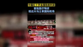 中国红十字会援助叙利亚首批医疗物资抵达大马士革国际机场