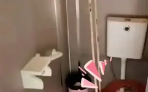 重庆一景区出现“秋千厕所”,员工:为吸引游客,还有鱼缸厕所