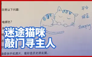 暖心！迷路猫咪敲门寻主人，好心人为猫咪手绘寻主启示