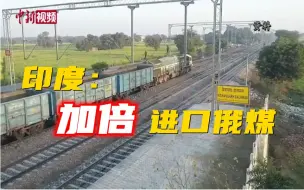 买它买它买它！印度打算加倍进口俄罗斯焦煤！