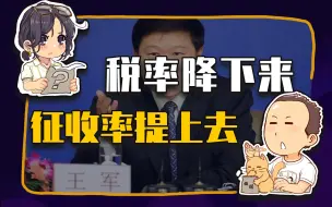 【睡前消息315】税务总局：税率降下来，征收率提上去