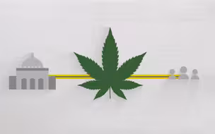 美媒：大麻是2020美国大选的真正赢家