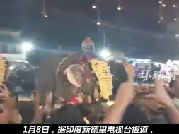 印度一节日上大象突然“暴走”，咬起路人腿左右摇摆后甩出，至少17人受伤