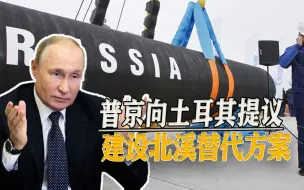 普京两次向土耳其喊话，提出北溪替代方案，欲打破能源输出僵局