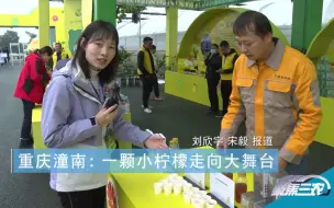聚焦三农丨重庆潼南：一颗小柠檬走向大舞台