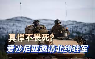 爱沙尼亚请求北约驻军，这是故意挑衅俄罗斯的战争红线