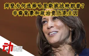 拜登为何选择哈里斯挑战特朗普？非裔背景和政治资历是主因