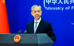 汪文斌：世界需要的不是“民主峰会”，而是在联合国宪章宗旨和原则基础上加强团结合作