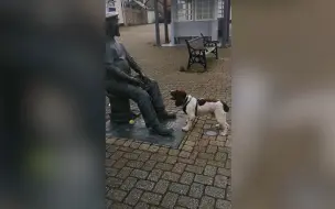 “不要发呆了 快扔球！” 狗狗错把雕像当成人
