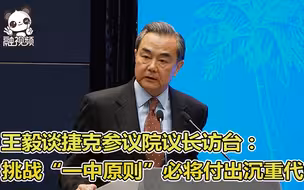 王毅谈捷克参议院议长访台：挑战“一中原则”必将付出沉重代价