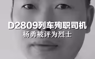 D2809列车殉职司机杨勇被评为烈士