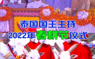 一年一度的泰国春耕节隆重上演了，因为疫情原因，去年中断了一年