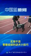 实用干货来啦！警察叔叔的训犬小技巧