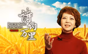 CGTN主持人田薇为您诵读《麦子熟了》我在全世界为你读诗