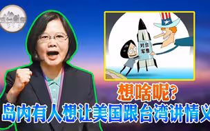 让美国更努力争取台湾民心 岛内有些人脑子“秀逗”了