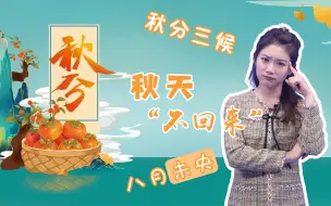 【二十四节气】秋分：秋高气爽，恰如其分