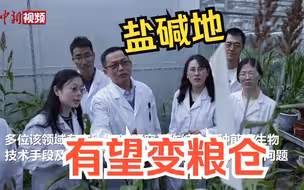 盐碱地有望变粮仓！中国科学家首次揭示作物主效耐碱基因