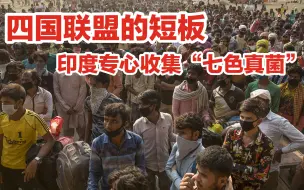 外媒：印度成为四国联盟的“定时炸弹”