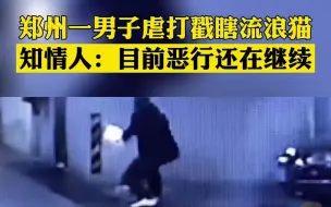 郑州一男子虐打并戳瞎流浪猫 知情人：目前恶行还在继续